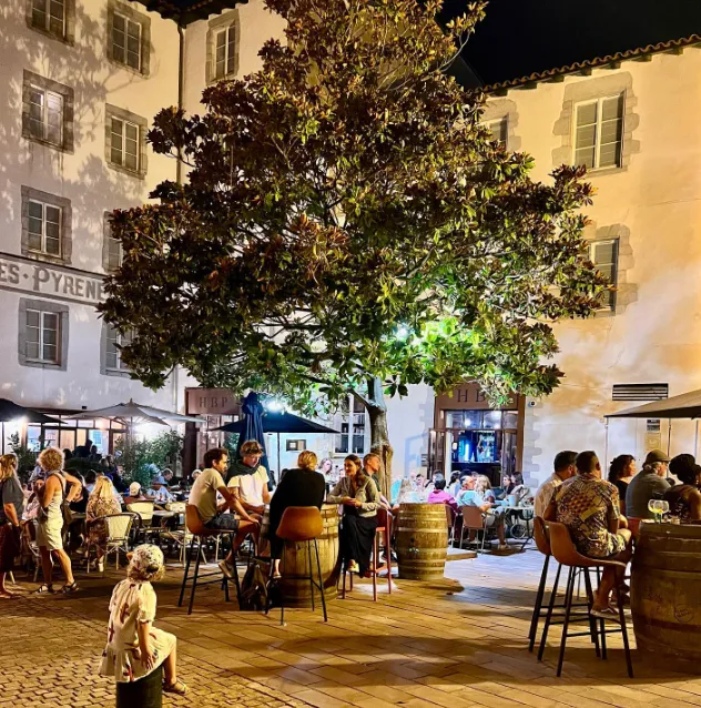 Hôtel des Basses Pyrénées